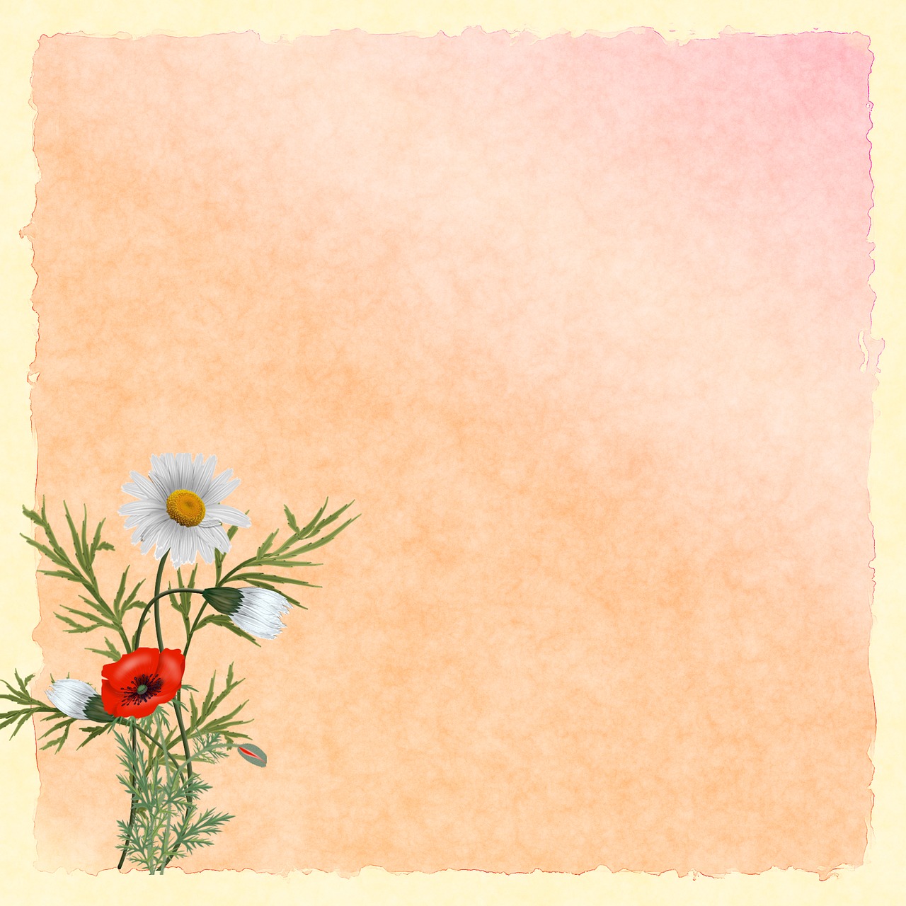 paper background flowers free photo