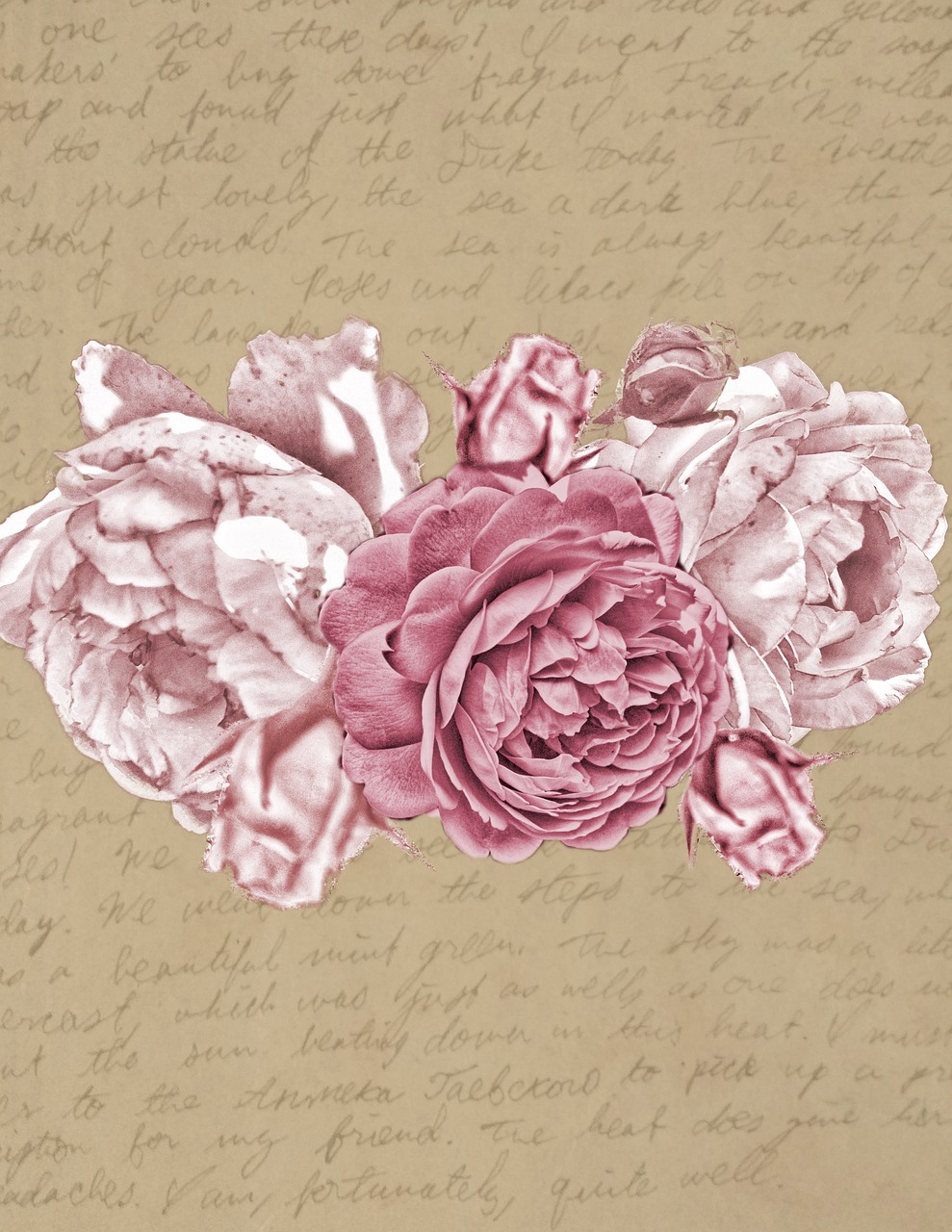 paper  vintage  roses free photo