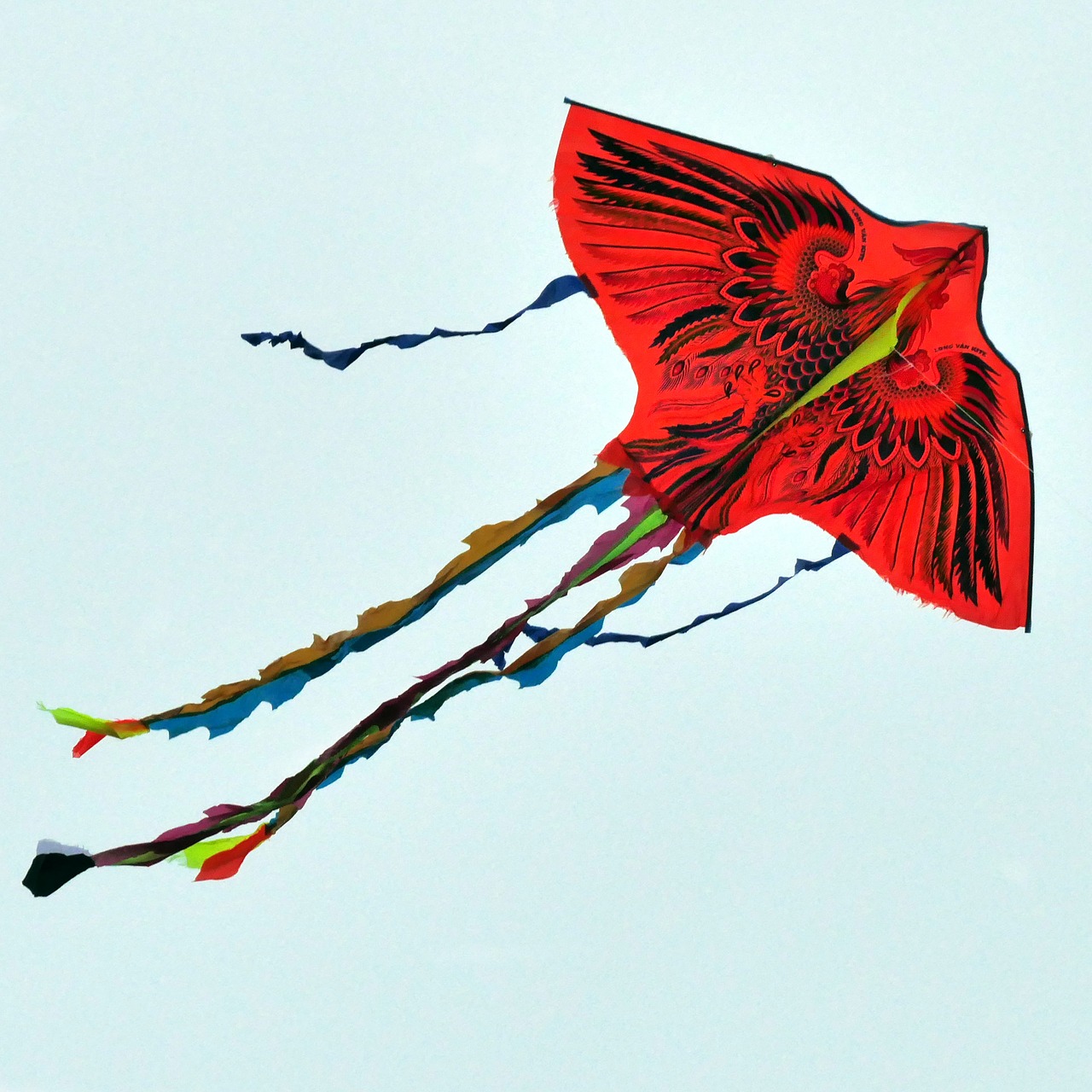 paper dragon fly of kite flying free photo