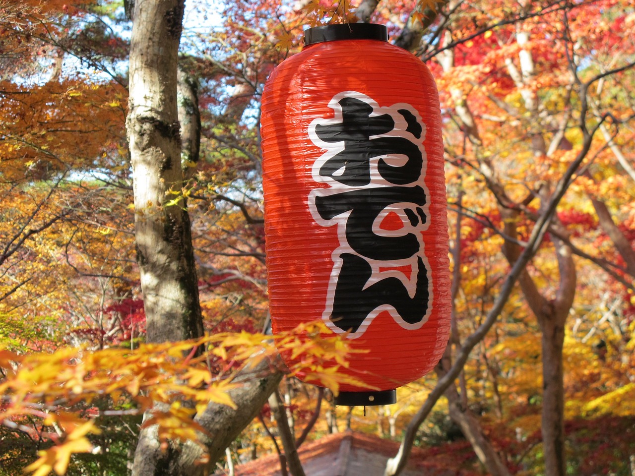 paper lantern oden autumnal leaves free photo