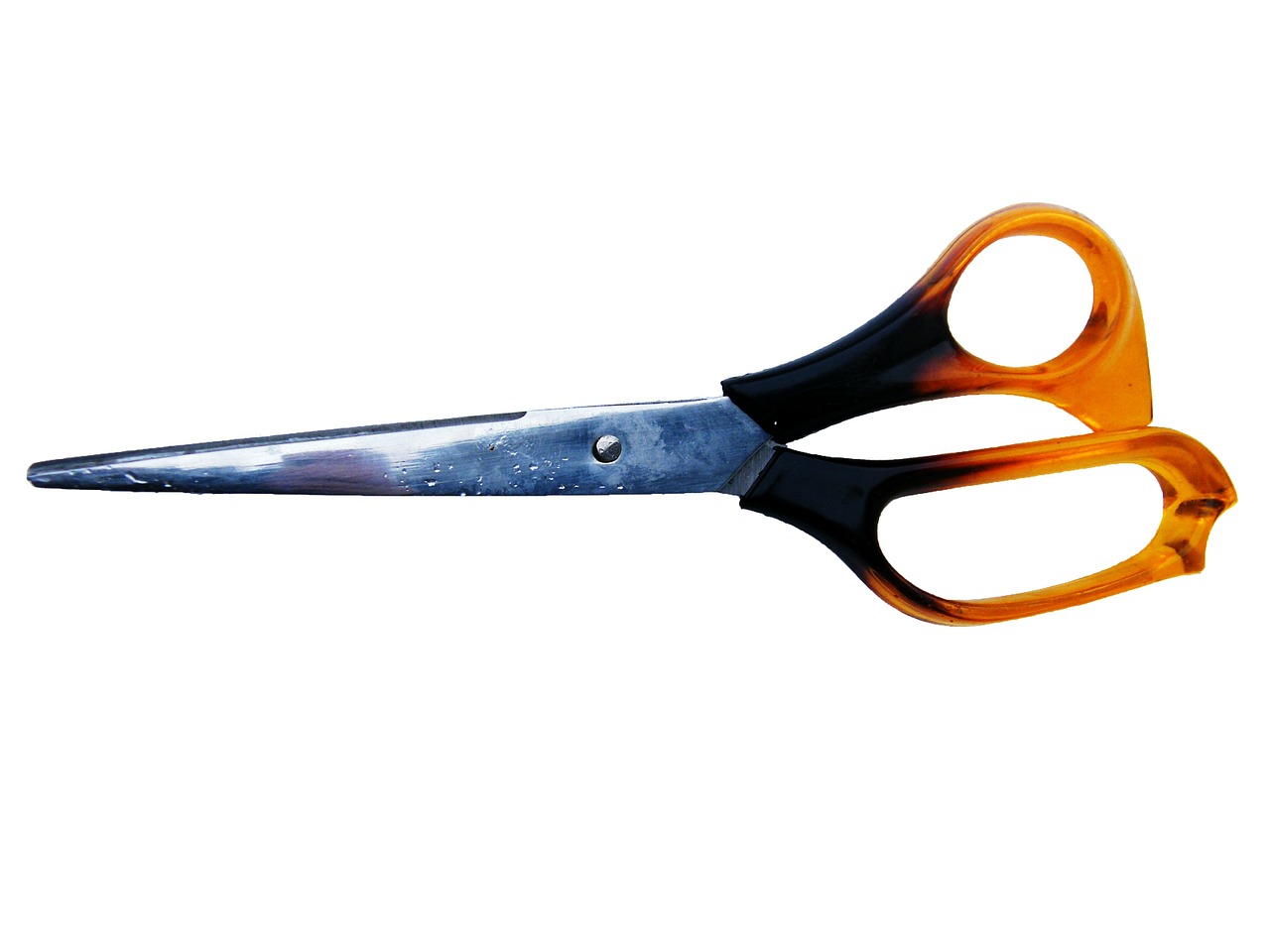 paper scissors scissors craft scissors free photo