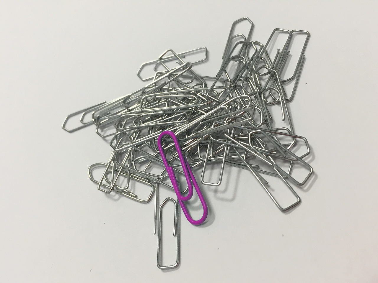 paperclip clip office free photo