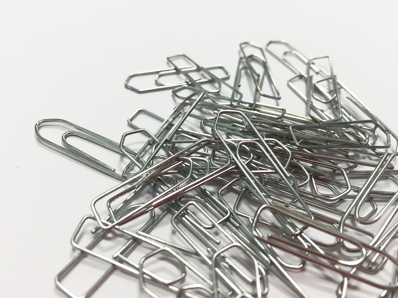 paperclip clip office free photo