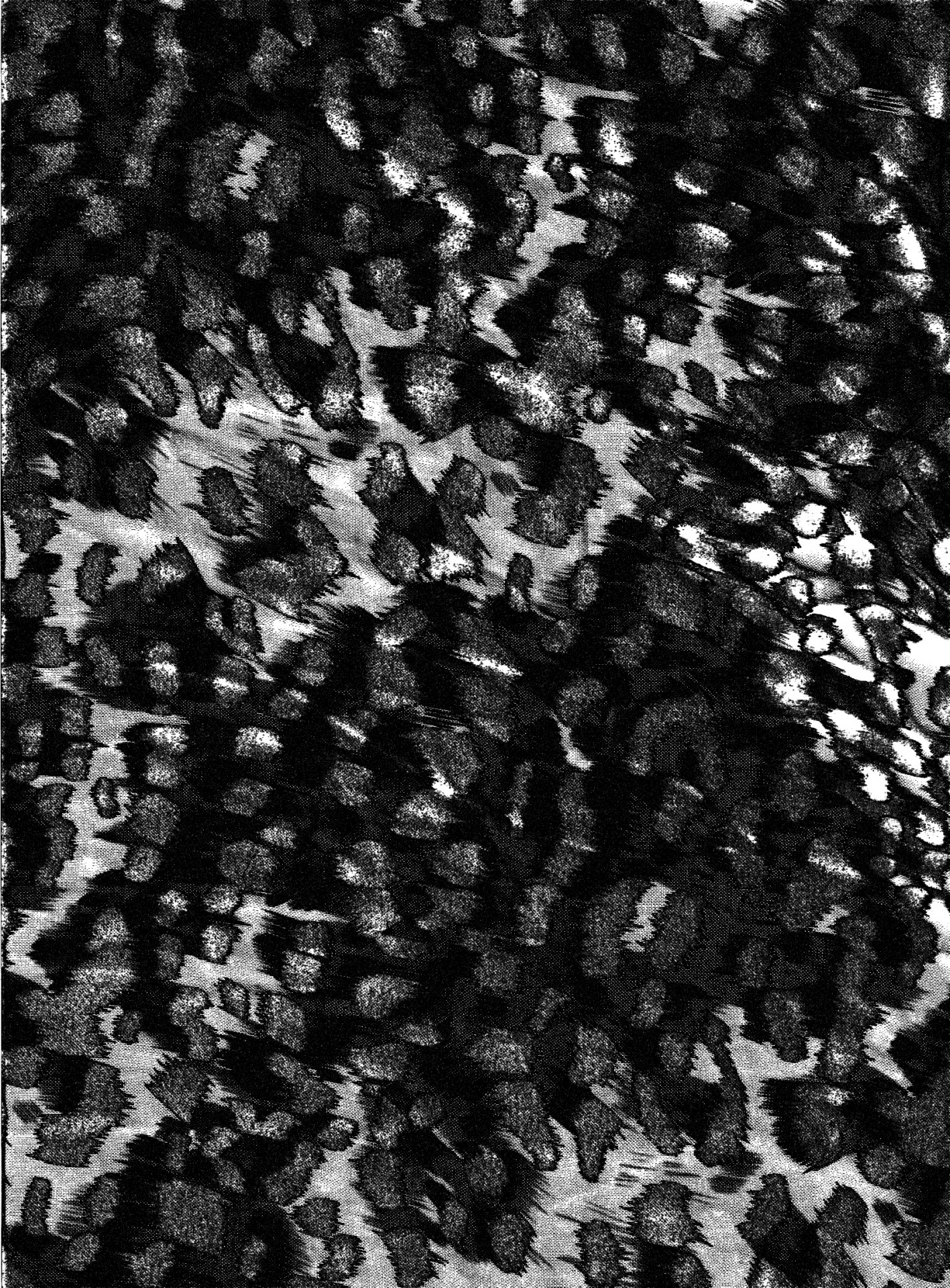 paper patterns black white free photo