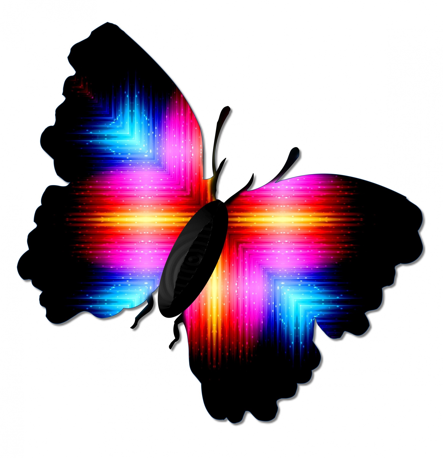 Многоцветная бабочка
