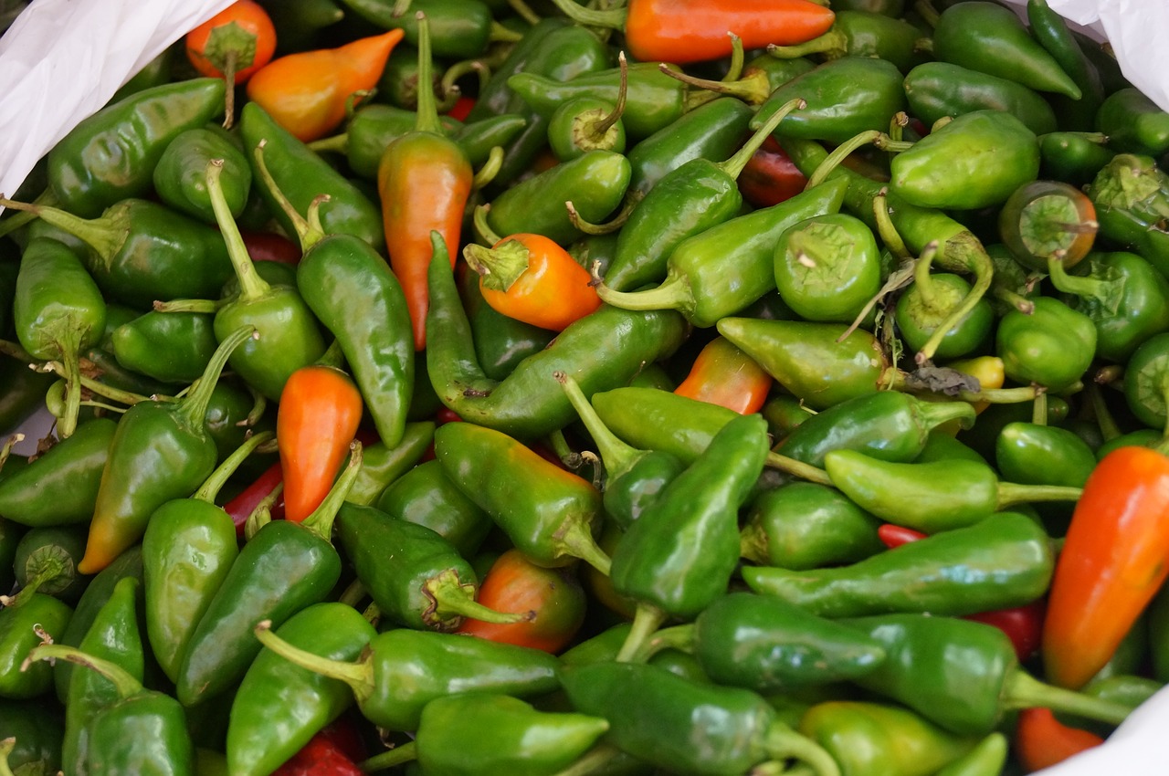 paprika green tenerife free photo