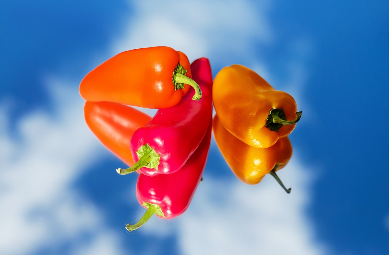 paprika vegetables red free photo