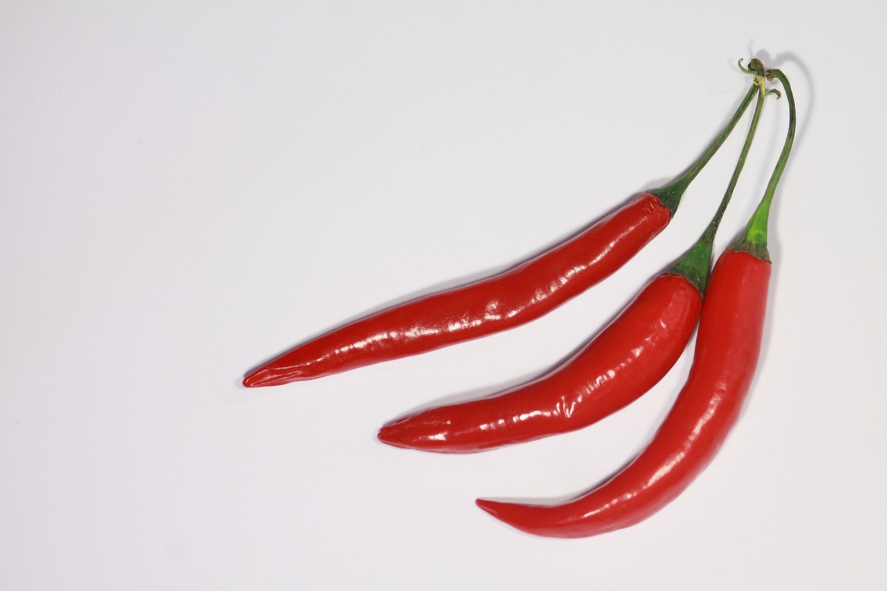 paprika chili spicy food free photo