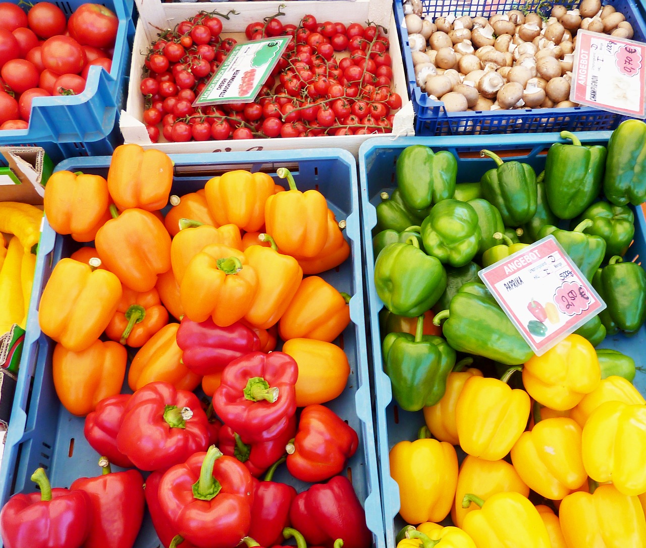 paprika yellow red pepper free photo