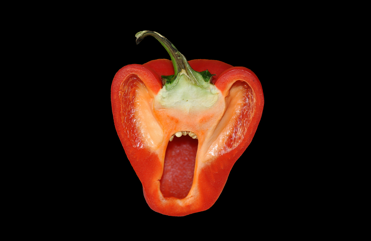 paprika red pepper pepper free photo