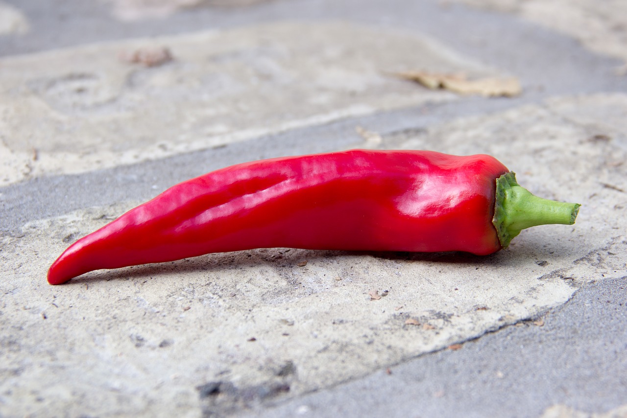 paprika  vegetable  brick free photo