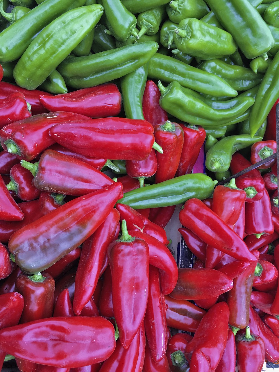 paprika  vegetables  red free photo