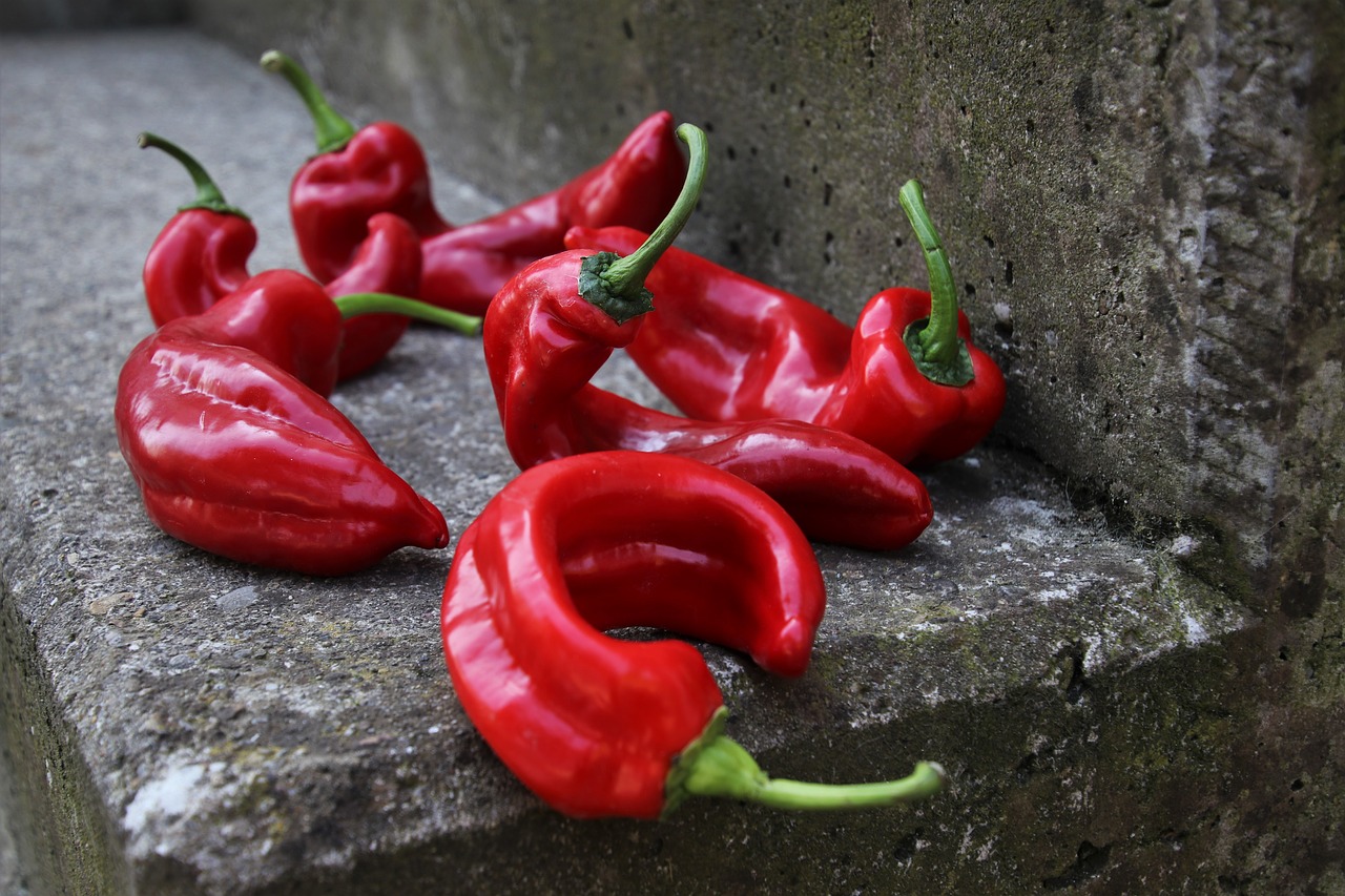 paprika  vegetables  food free photo