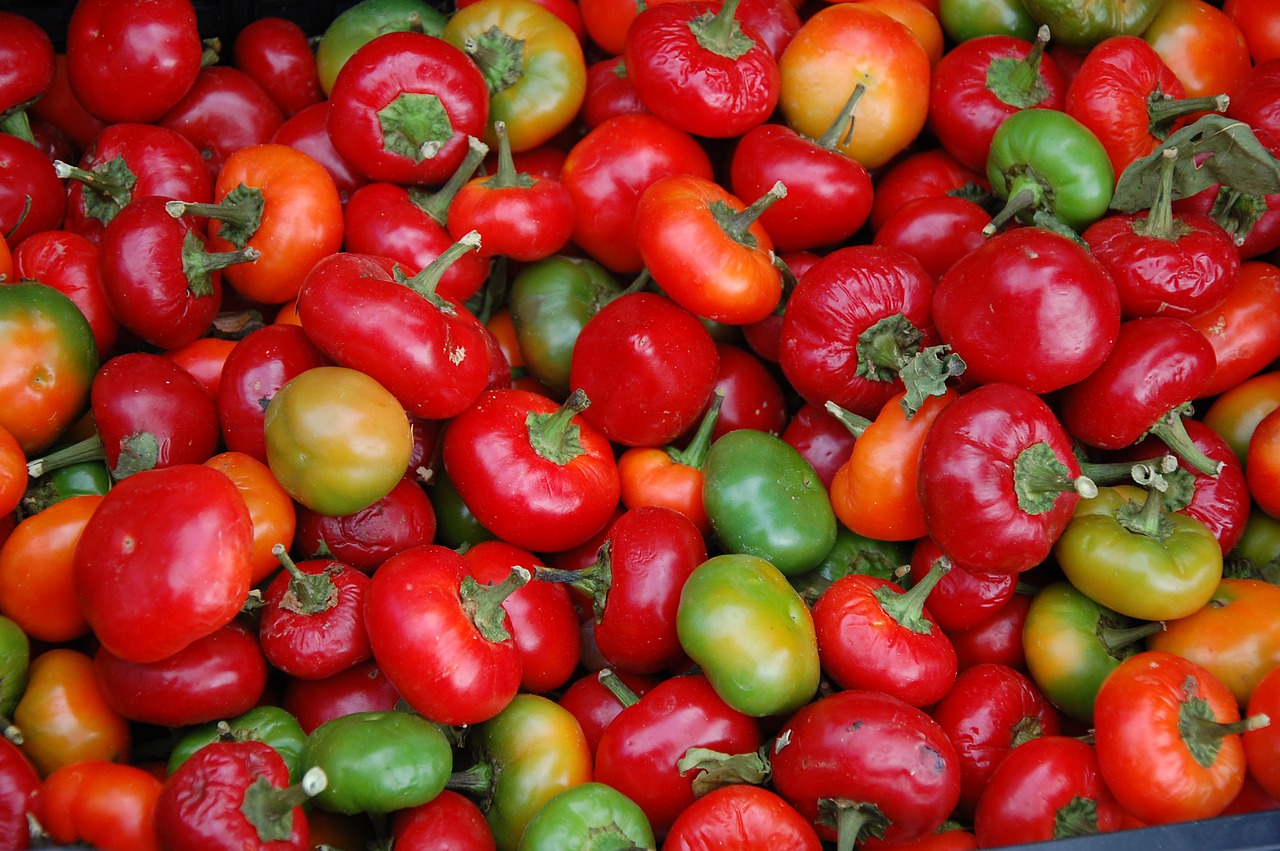 paprika  red  vegetables free photo