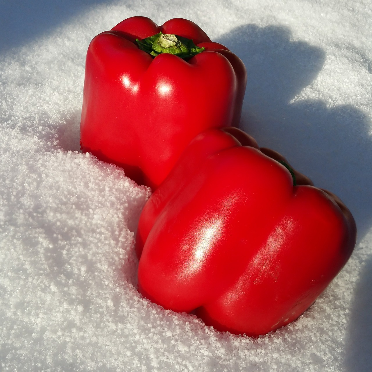 paprika red vegetables free photo