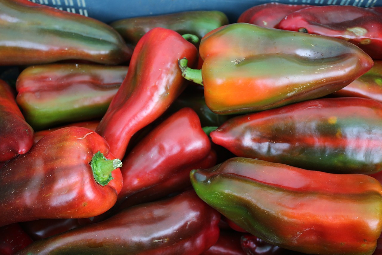 paprika pepper vegitable free photo