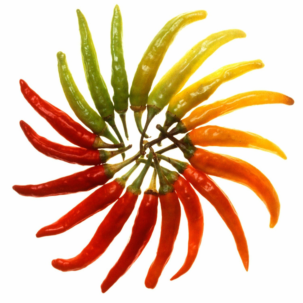 paprika chili sharp free photo