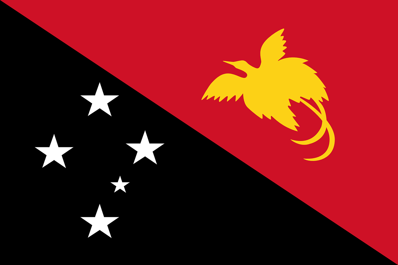 papua new guinea flag national flag free photo