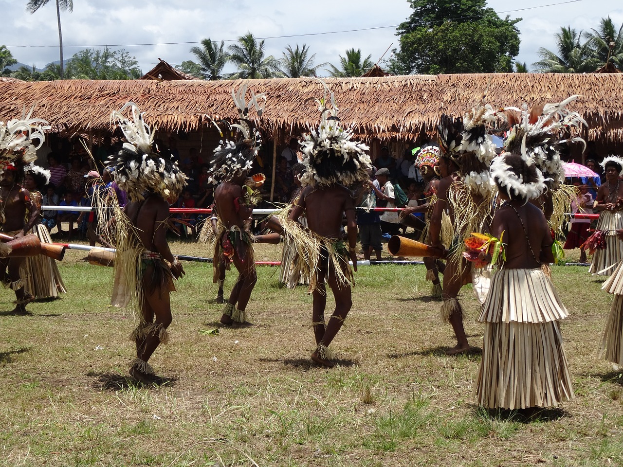 papua new guinea celebration dancing free photo