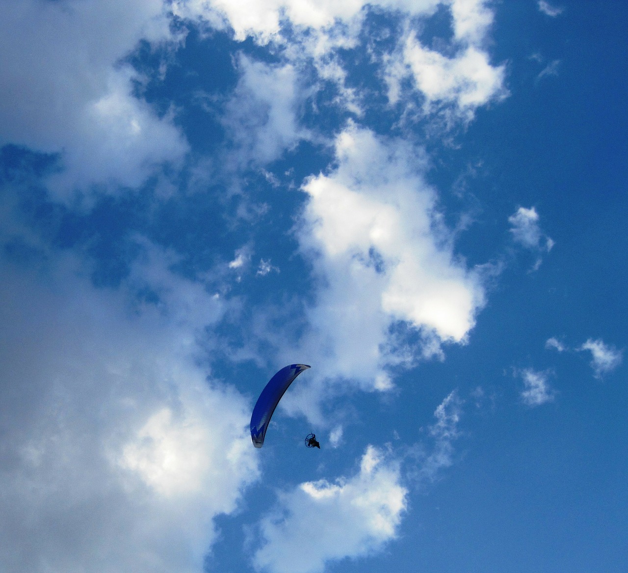 parachute blue drifting free photo