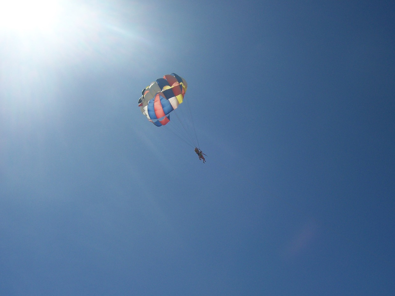 parachute sport skydiving free photo
