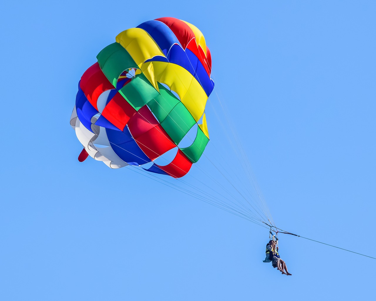 parachute  sport  air free photo