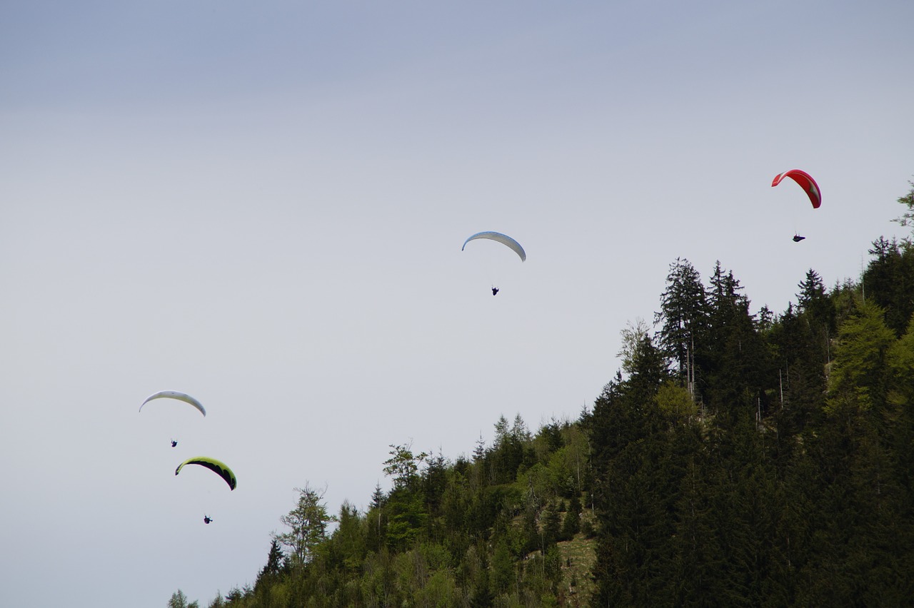 parachute parachutist skydiving free photo