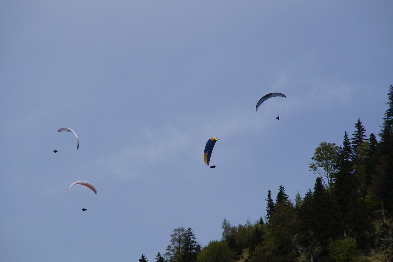 parachute parachutist skydiving free photo