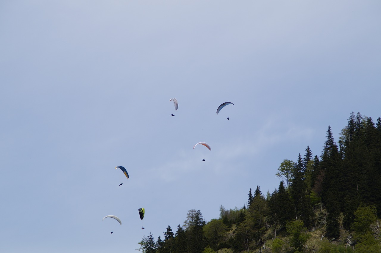 parachute parachutist skydiving free photo