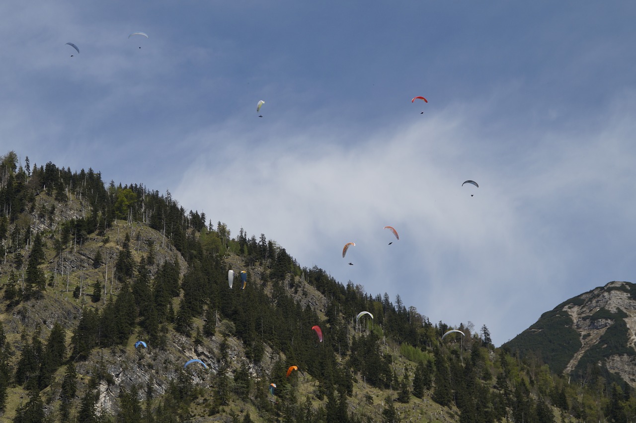 parachute parachutist skydiving free photo