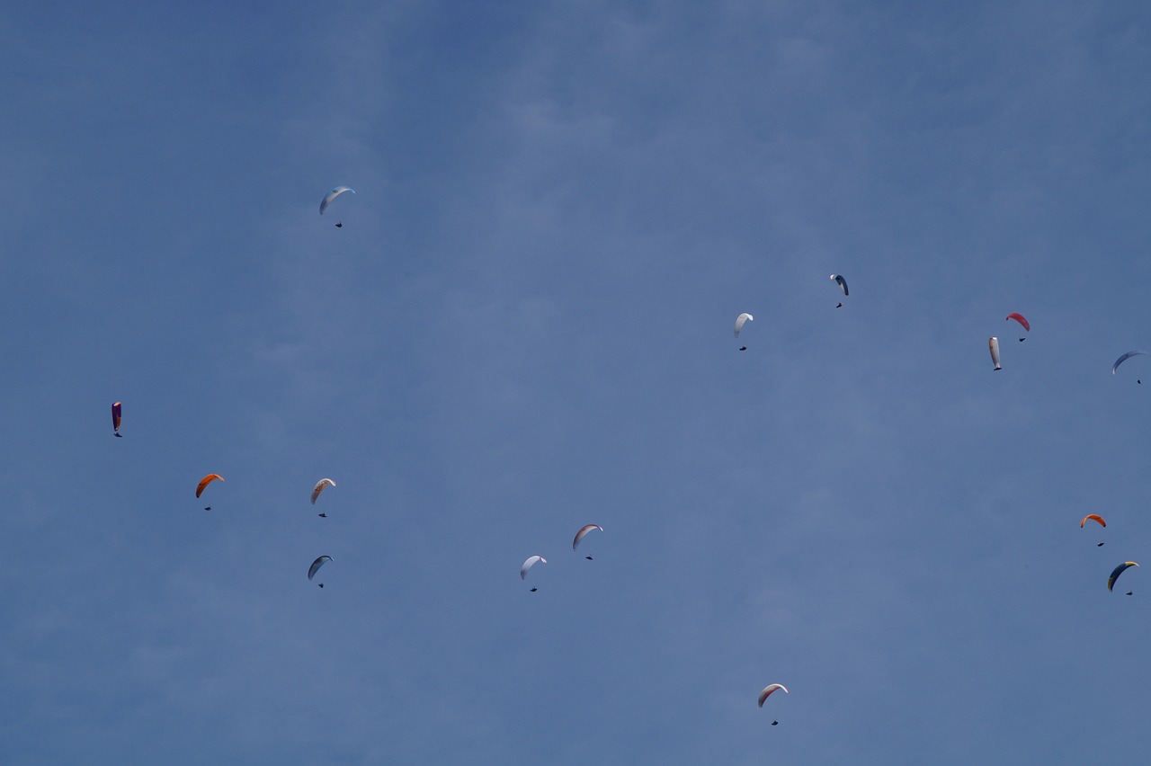 parachute parachutist skydiving free photo