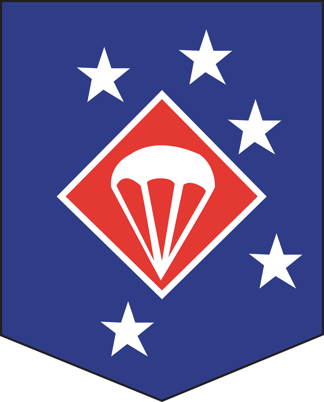 parachute insignia badge free photo