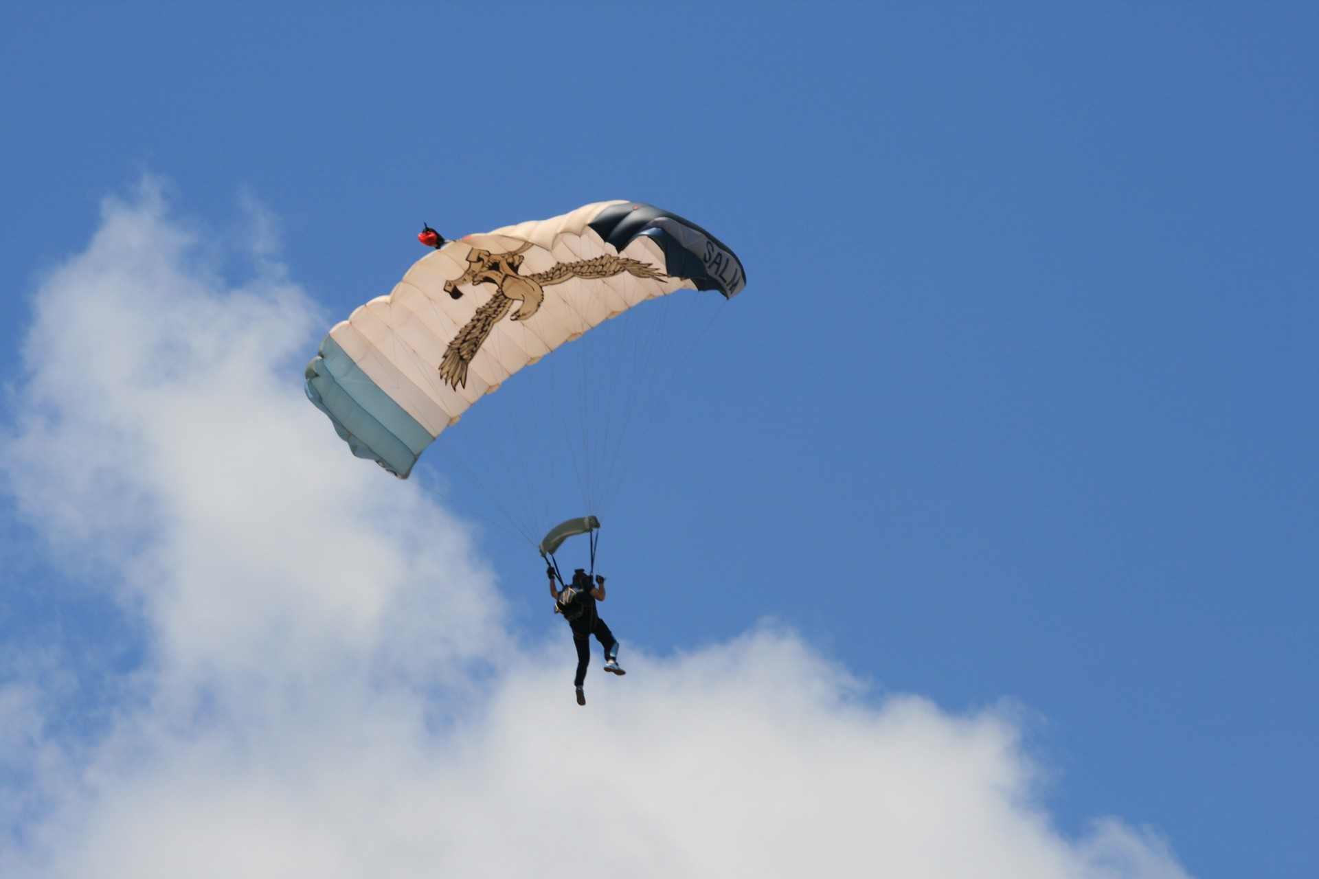 parachutist parachute white free photo