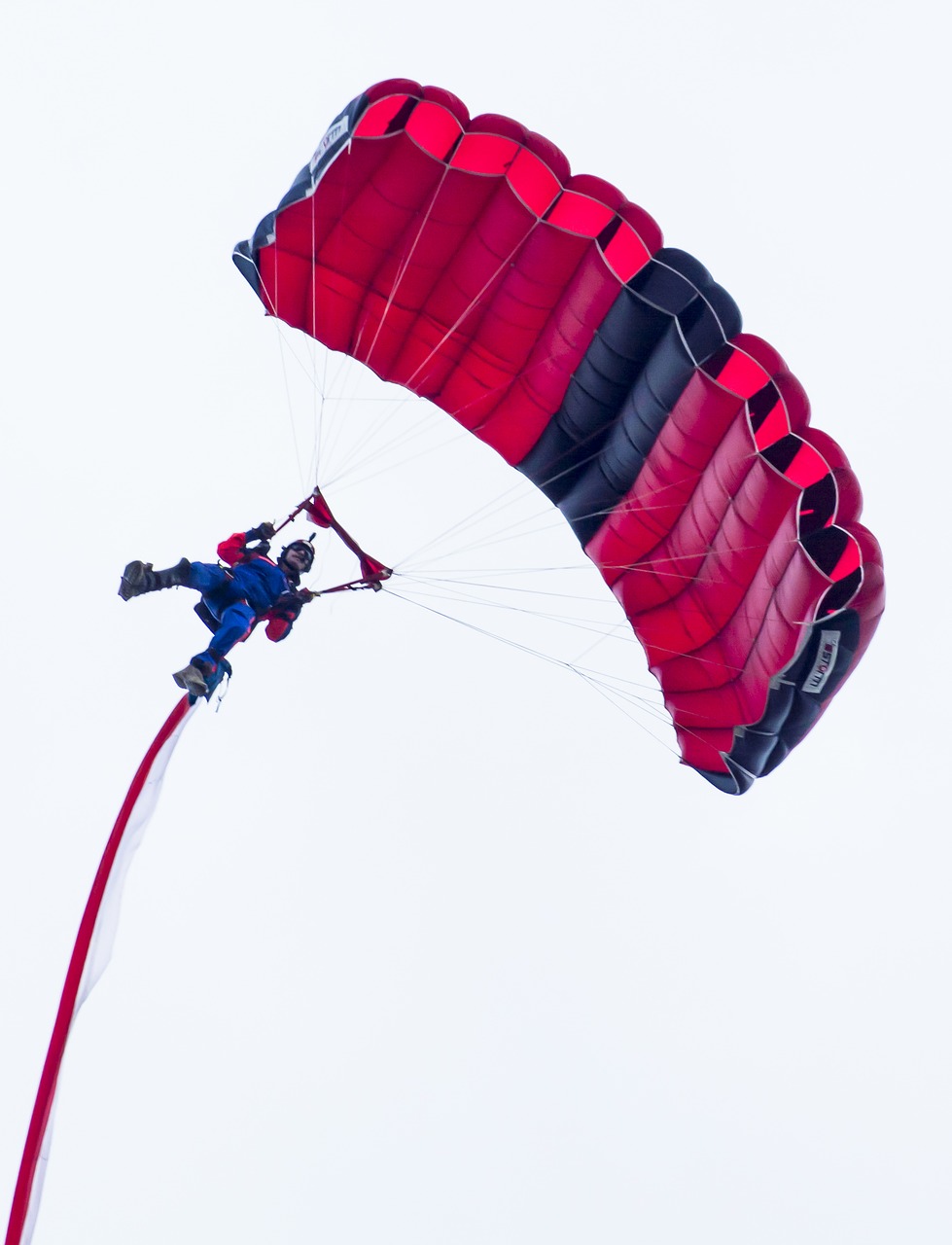 parachutes jumping aviation free photo