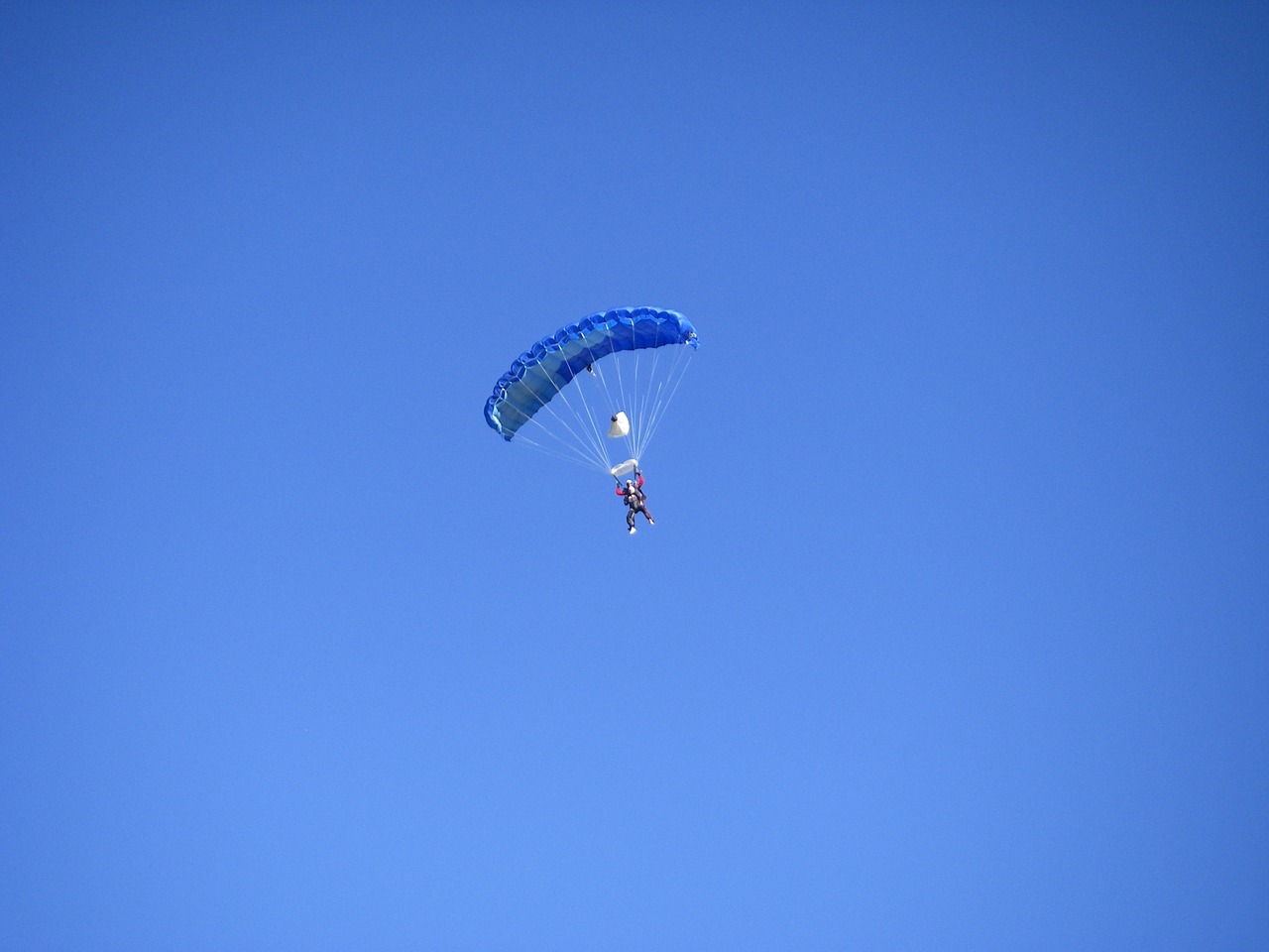 parachutist blue sky free photo