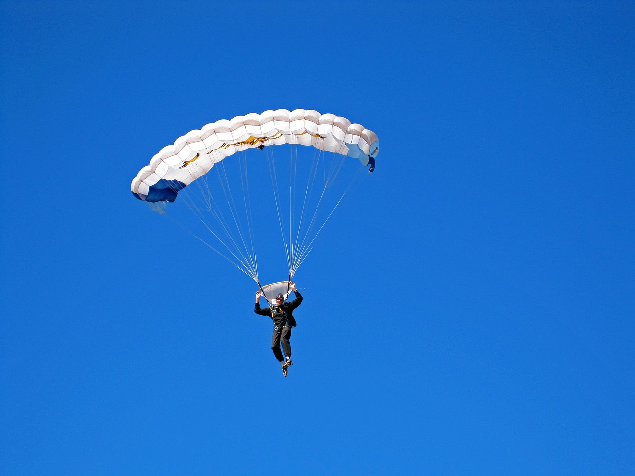 parachutist parachute jump free photo