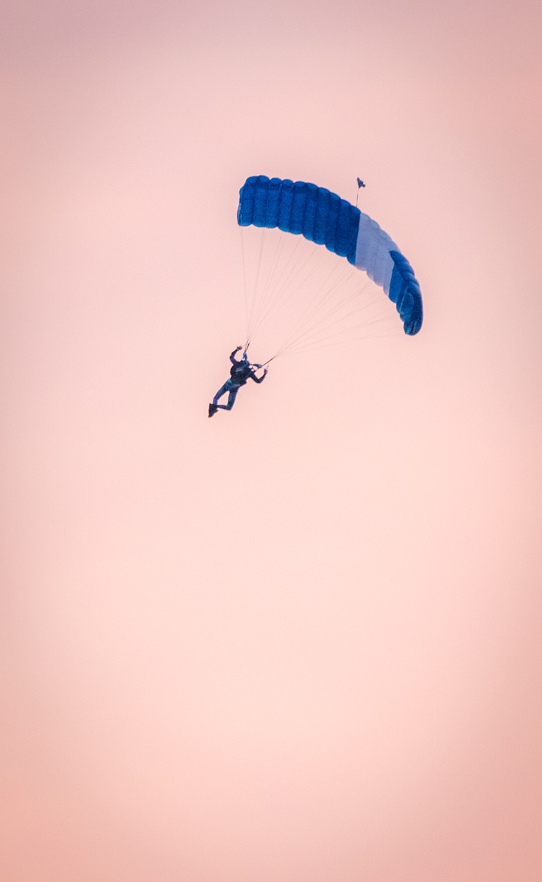 parachutist  parachute  skydiving free photo