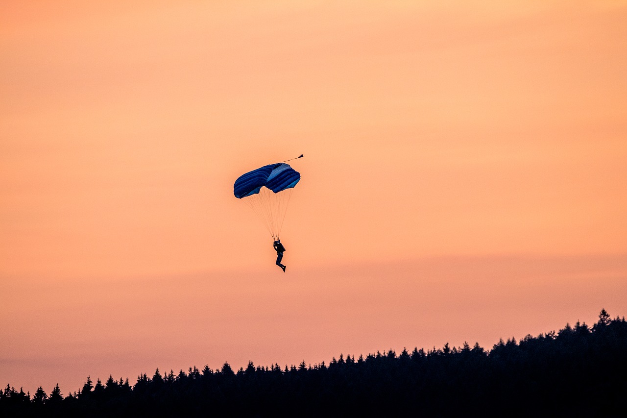 parachutist  parachute  skydiving free photo