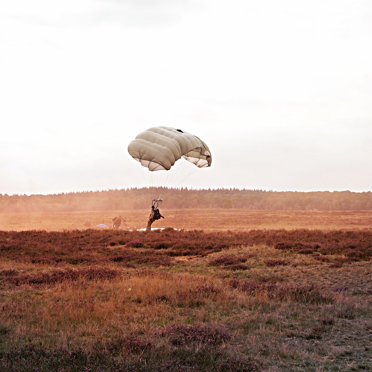 parachutist landing commemoration free photo