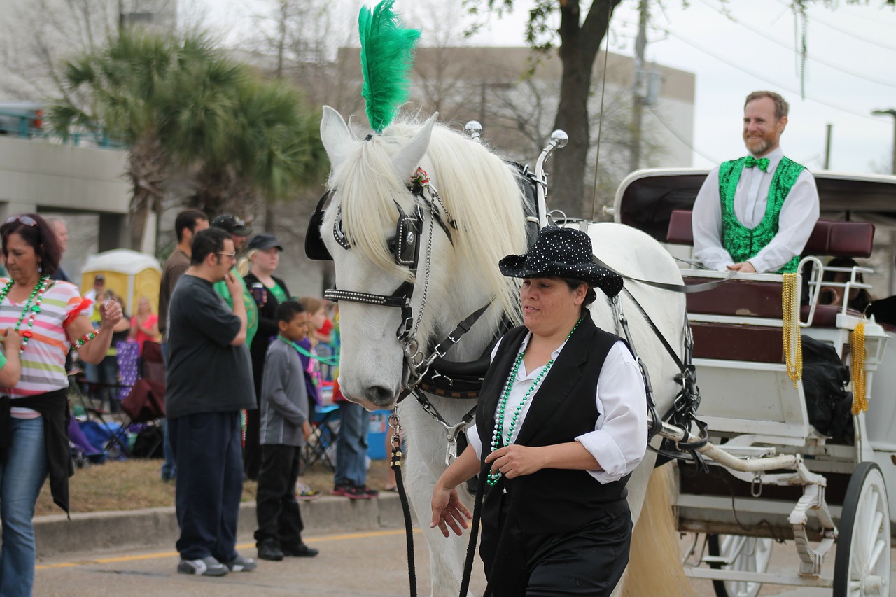 parade horse carriage free photo