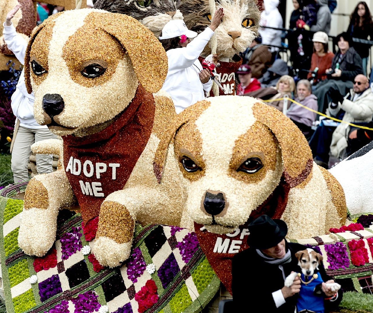 parade float dogs free photo