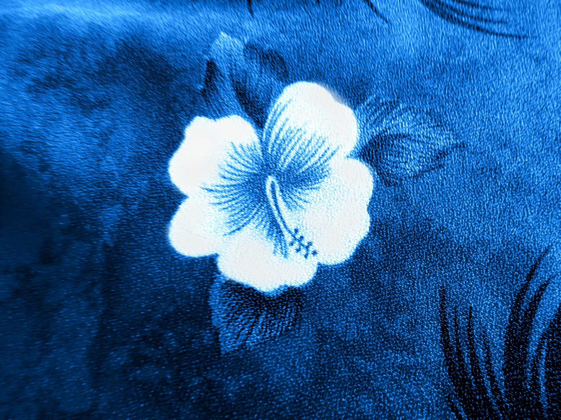 background fabric flower free photo