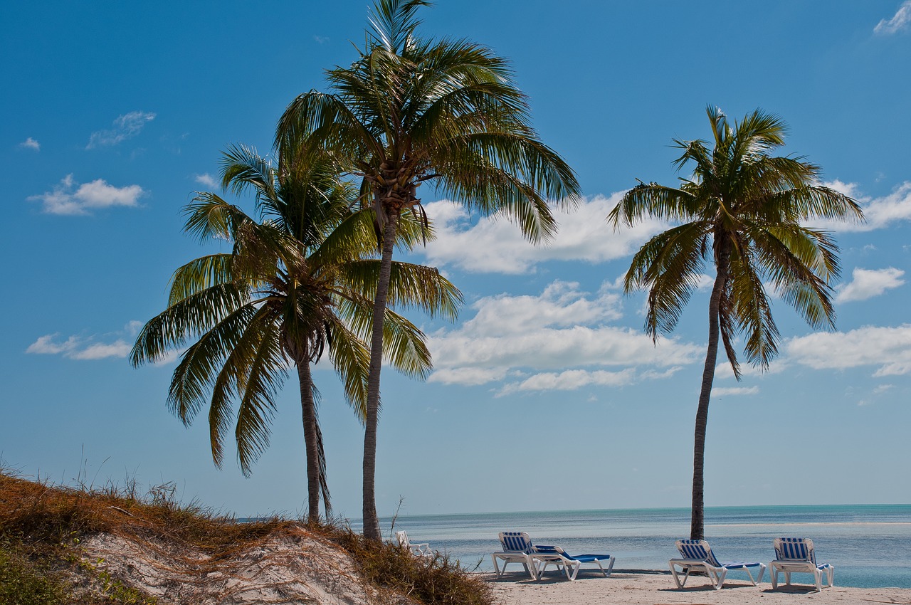 paradise caribbean tropical free photo