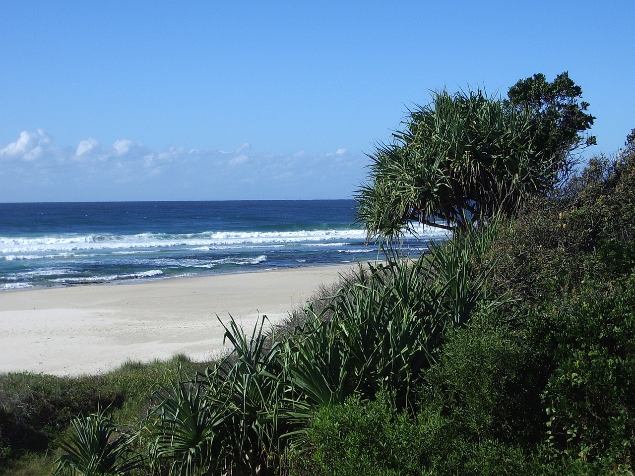 paradise tropical sea free photo