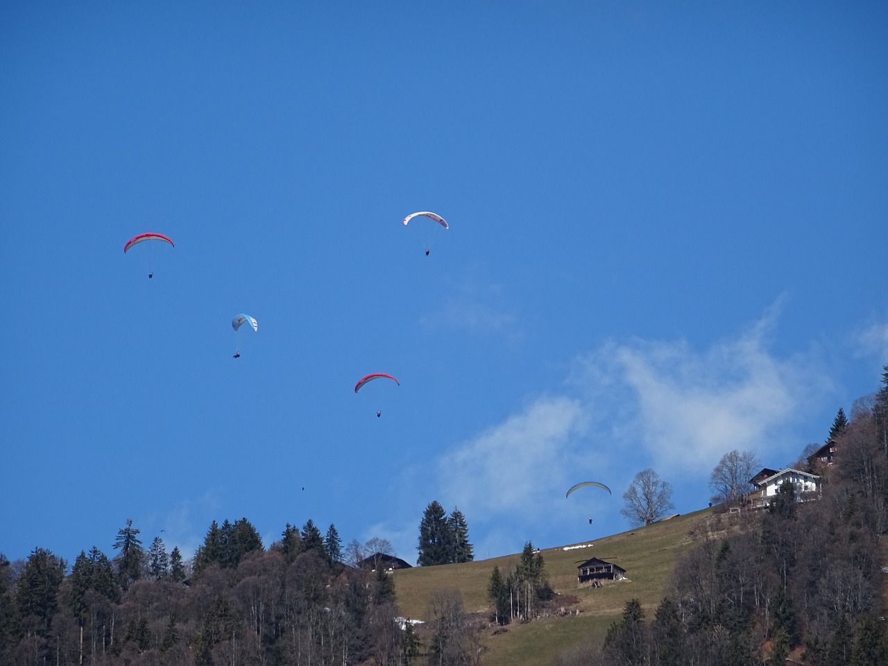 paraglider sky paragliding free photo