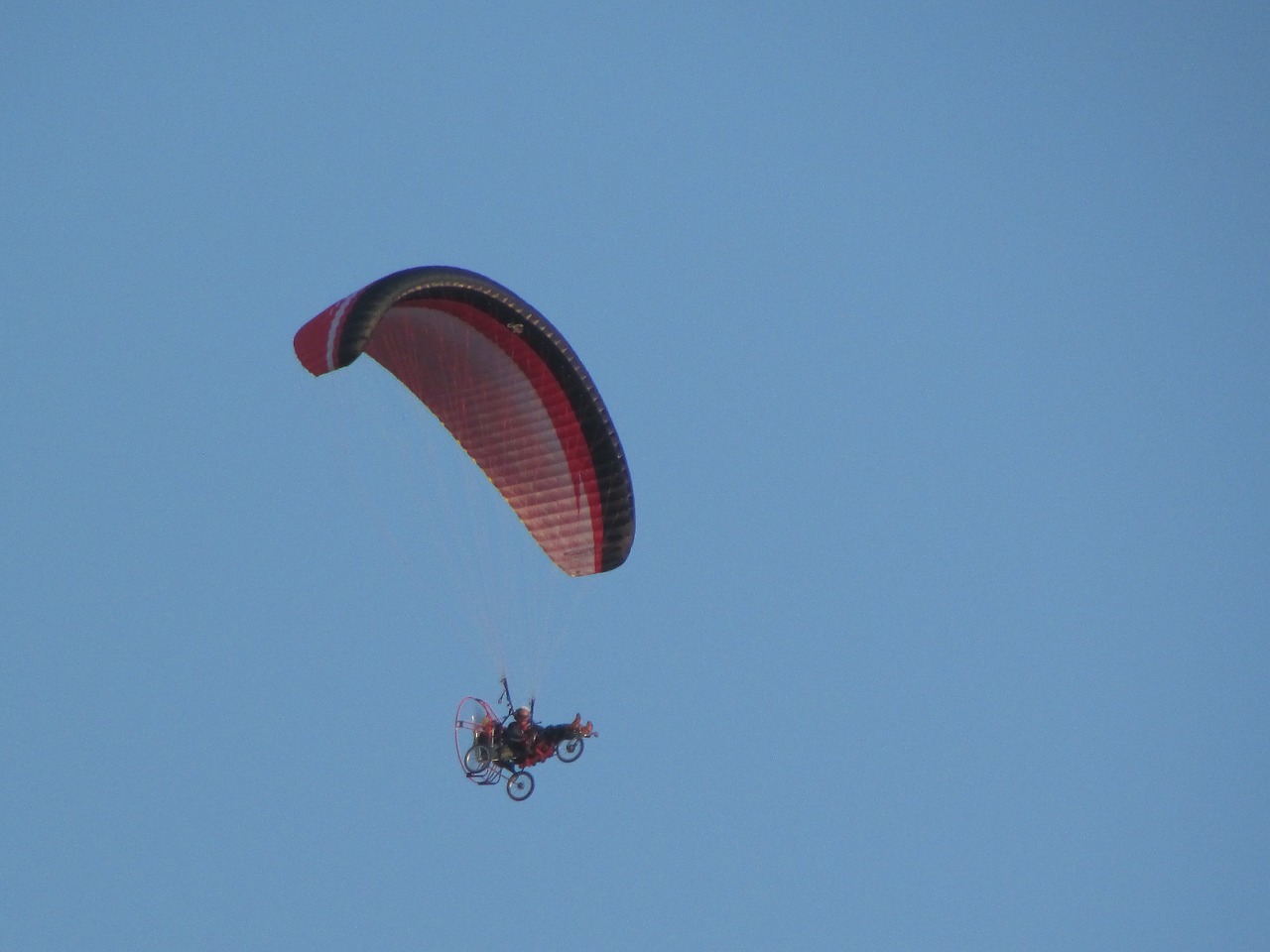 paraglider motorized sky free photo
