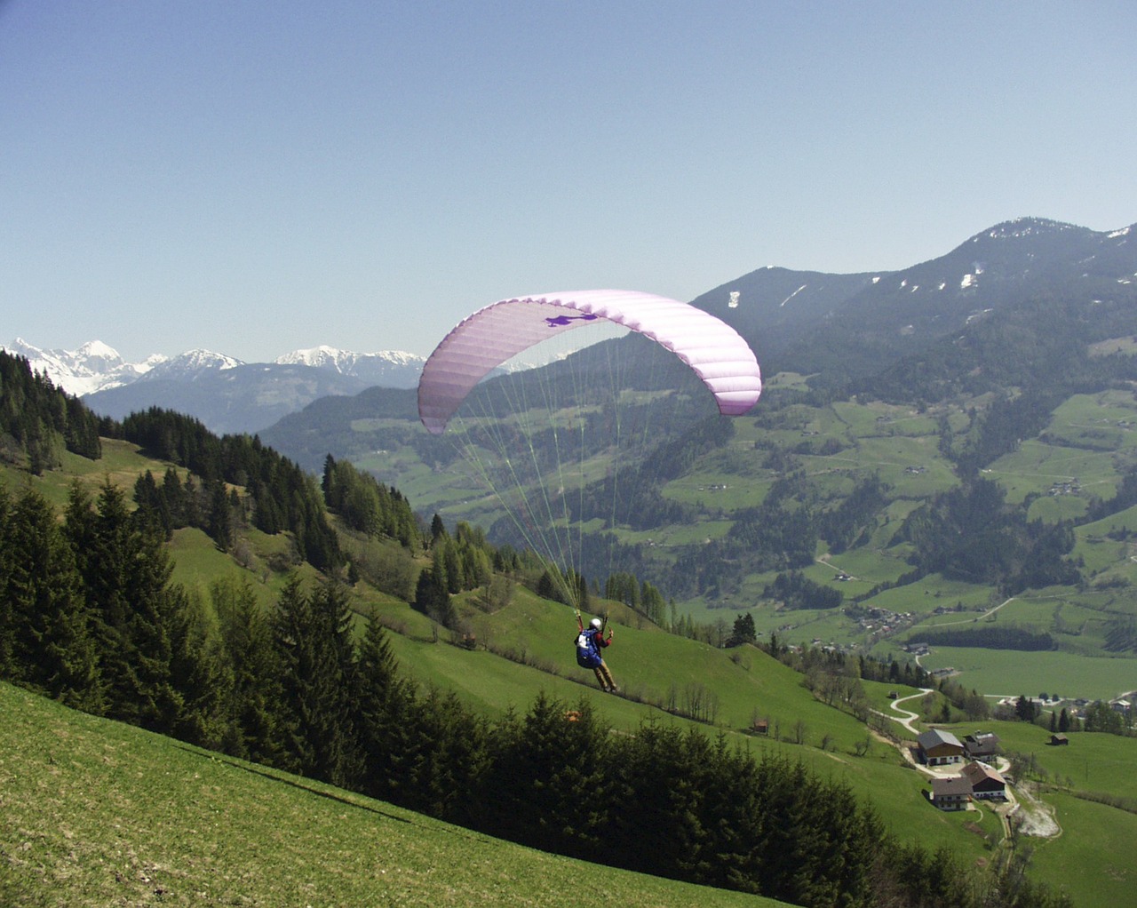 paraglider sport human free photo