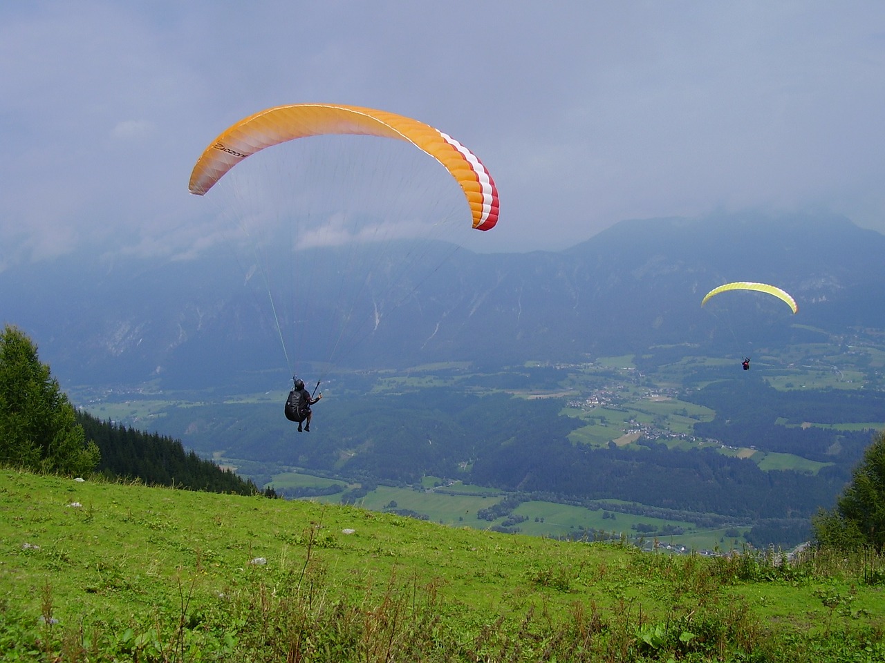 paraglider carinthia meadow free photo