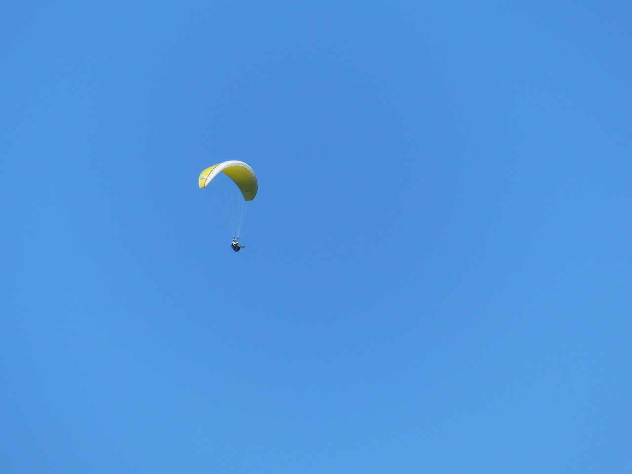 paraglider sky paragliding free photo