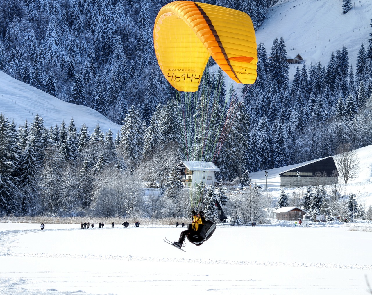 paraglider paragliding air sports free photo